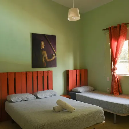 Lagarto Tenerife Guest house *