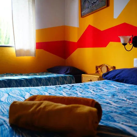 Lagarto Tenerife Guest house