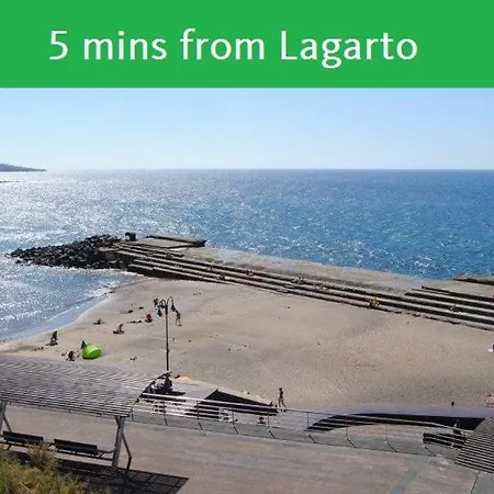Lagarto Tenerife
