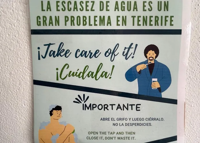 Lagarto Tenerife Valle de Guerra