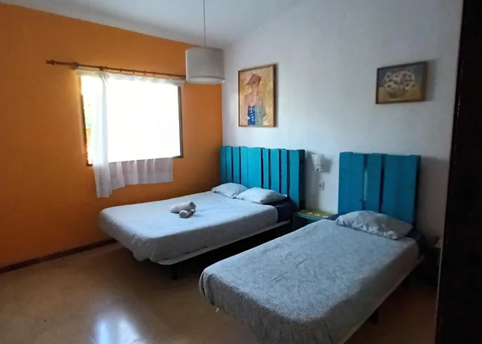 Lagarto Tenerife * Valle de Guerra