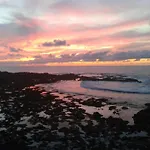Lagarto Tenerife Pensionat Valle de Guerra