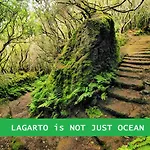 Lagarto Tenerife Valle de Guerra