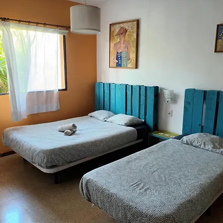 Lagarto Tenerife * Valle de Guerra