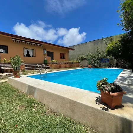 Lagarto Tenerife Casa de hóspedes Valle de Guerra