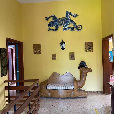 Lagarto Tenerife Guest house Valle de Guerra