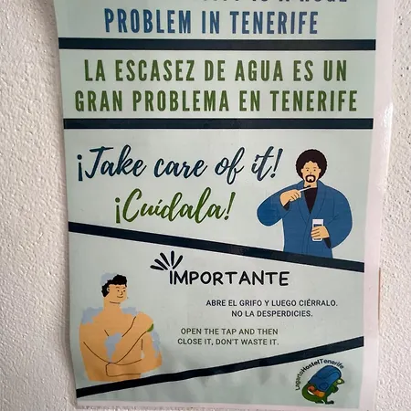 Lagarto Tenerife Valle de Guerra