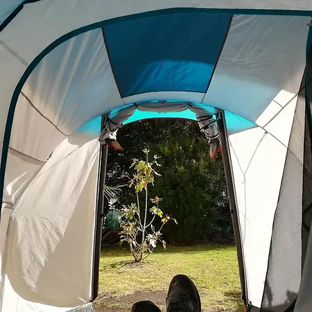 Lagarto Tenerife Guest house *