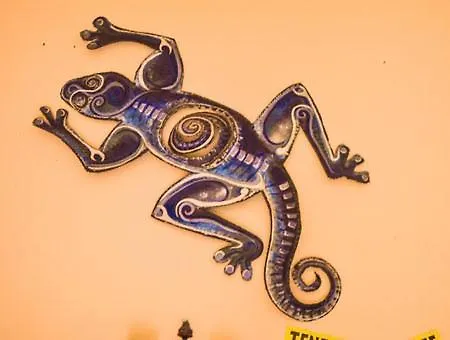 Lagarto Tenerife Guest house Valle de Guerra
