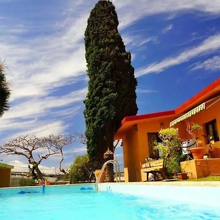 Lagarto Tenerife Valle de Guerra