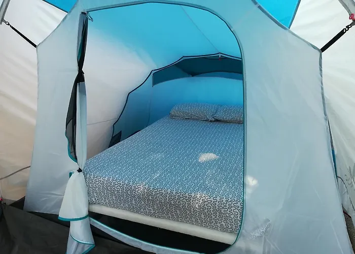 Pensión Lagarto Tenerife *