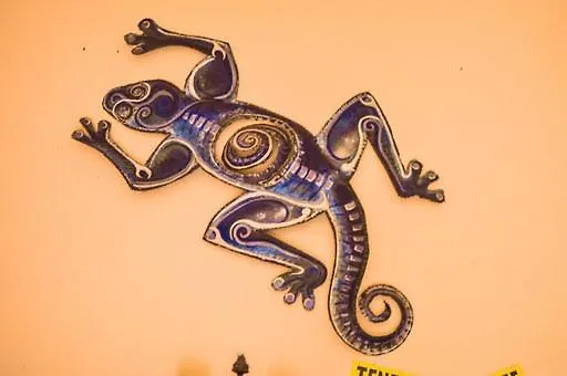 Lagarto Tenerife Pensión Valle de Guerra