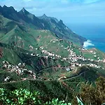 Lagarto Tenerife *