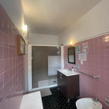 Lagarto Tenerife Valle de Guerra