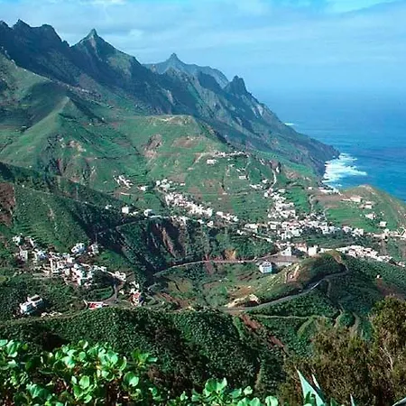 Lagarto Tenerife *