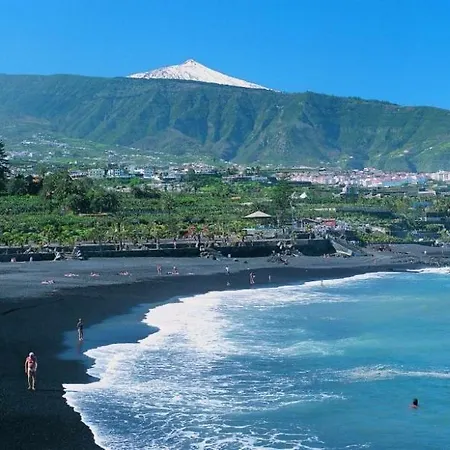 Lagarto Tenerife Guest house Valle de Guerra