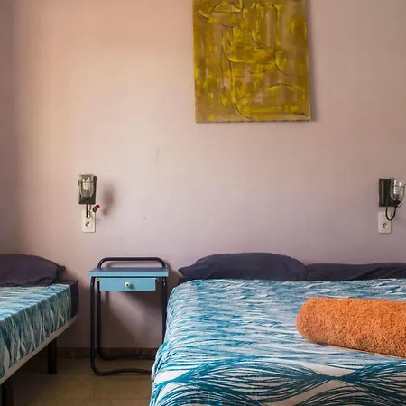 Casa de hóspedes Lagarto Tenerife *