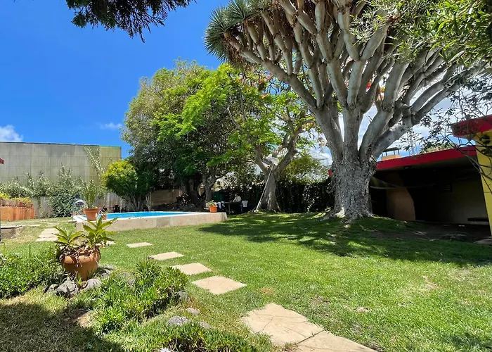 Lagarto Tenerife * Valle de Guerra