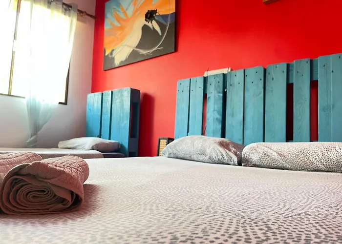 Lagarto Tenerife Guest house *