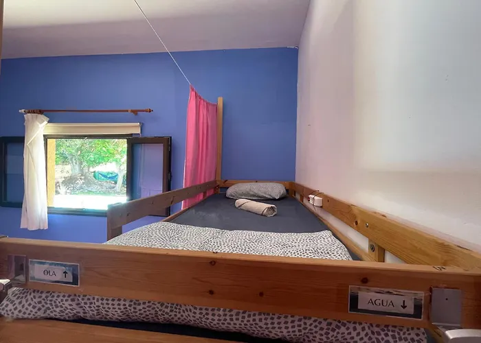 Lagarto Tenerife Guest house Valle de Guerra