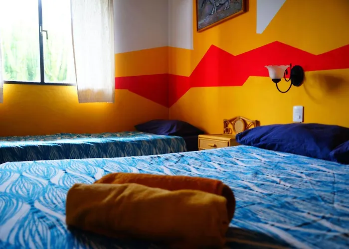 Lagarto Tenerife Guest house