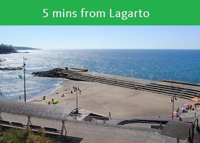 Lagarto Tenerife
