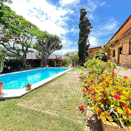 Maison d'hôtes Lagarto Tenerife *