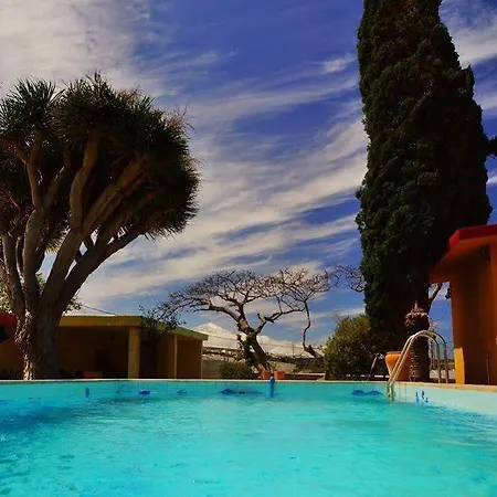 Lagarto Tenerife *