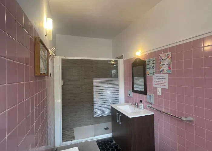 Lagarto Tenerife Valle de Guerra