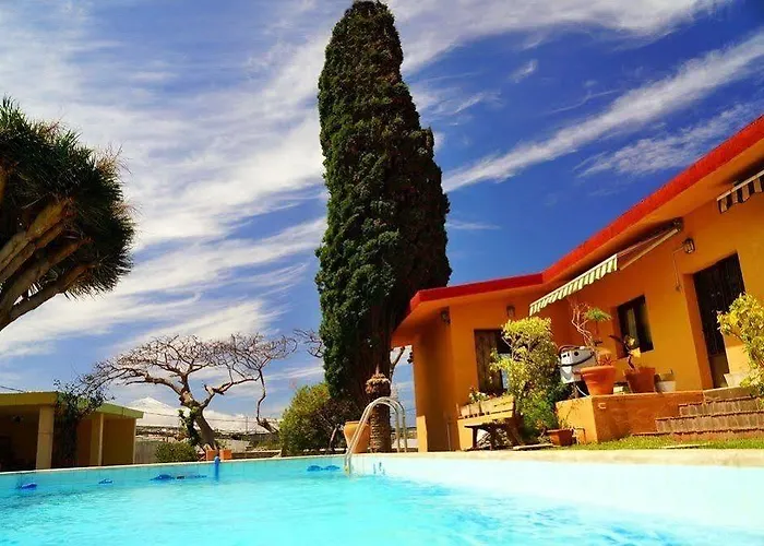 Lagarto Tenerife Valle de Guerra